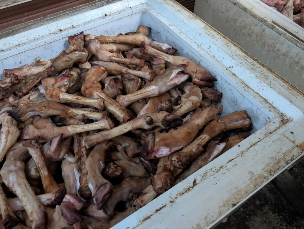 تم ضبط اللحوم وإتلافها