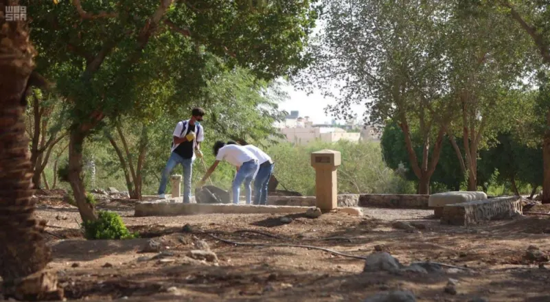 طلاب السياحة يتطوعون لتنظيف حدائق المدينة