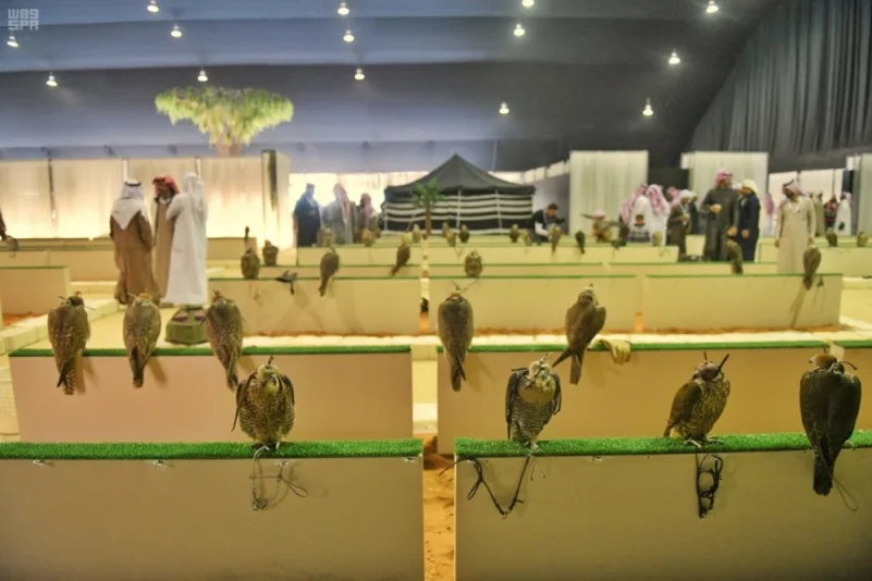 "البيئة" تشارك في مهرجان الملك عبدالعزيز للصقور بعيادات بيطرية وفرق إرشادية