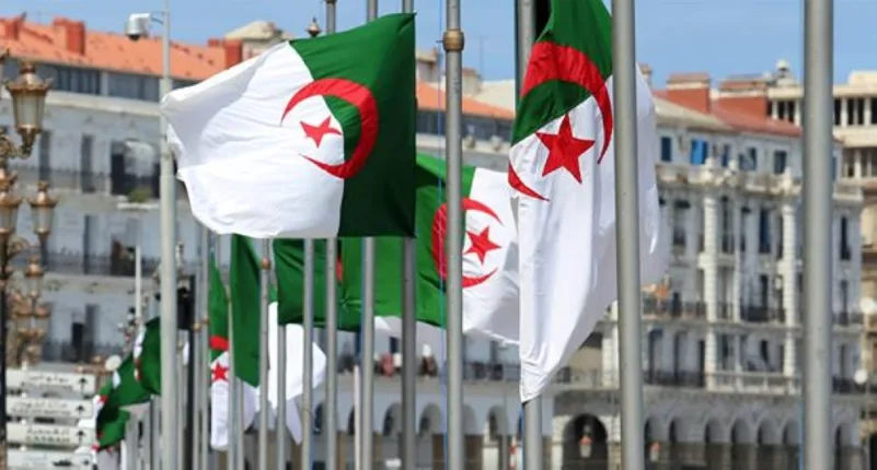 مسؤول بالتجمع الوطني : الجزائر تدار من "قوى غير دستورية"