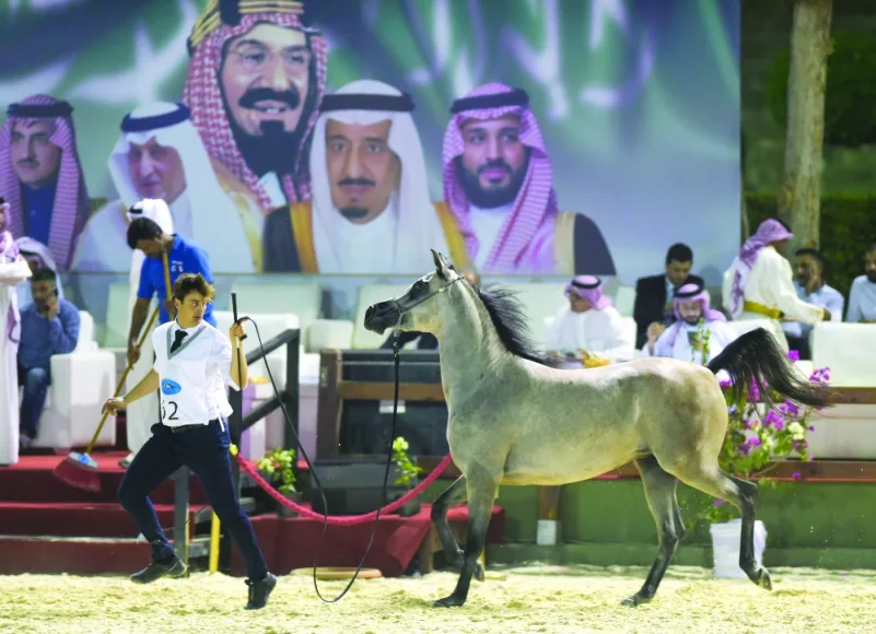 الفيصل يرعى ختام بطولة مكة الدولية لجمال الجواد العربي