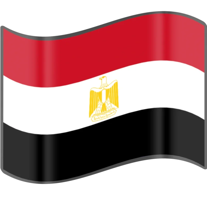 توقيف 4 ناشطات مصريات بارزات طالبن بالإفراج عن سجناء بسبب كورونا