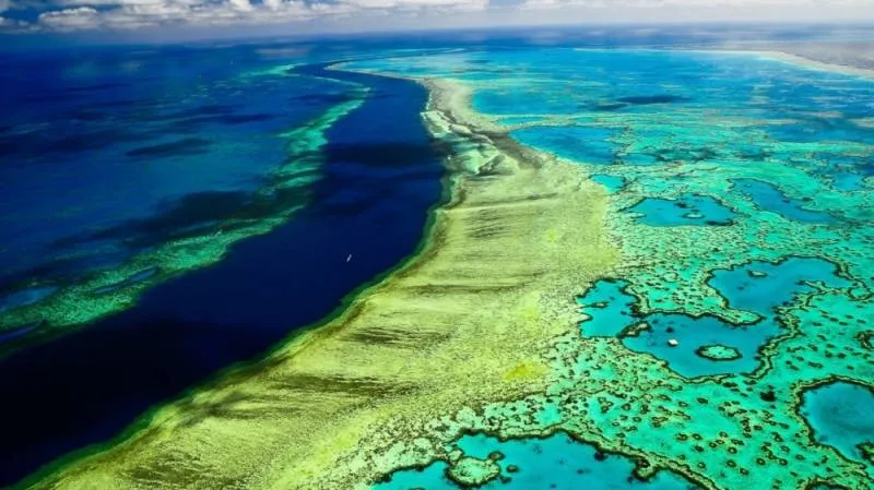 أستراليا : الحاجز المرجاني الكبير سجل أسوأ ظاهرة ابيضاض حتى الآن