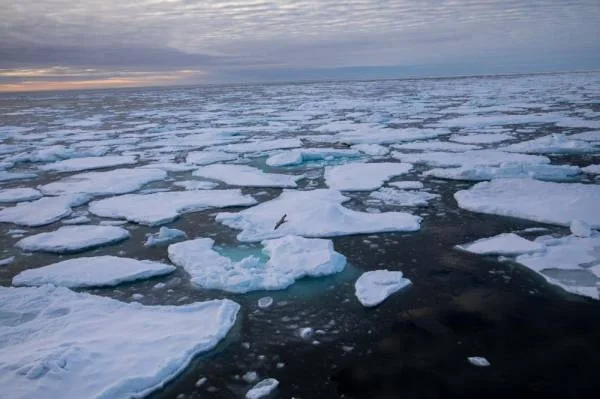 الجليد في القطب الشمالي في أدنى مستوياته لشهر أكتوبر الحالي