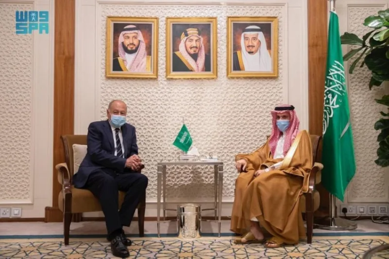 وزير الخارجية يستعرض مع أبوالغيط الأوضاع على الساحتين العربية والدولية