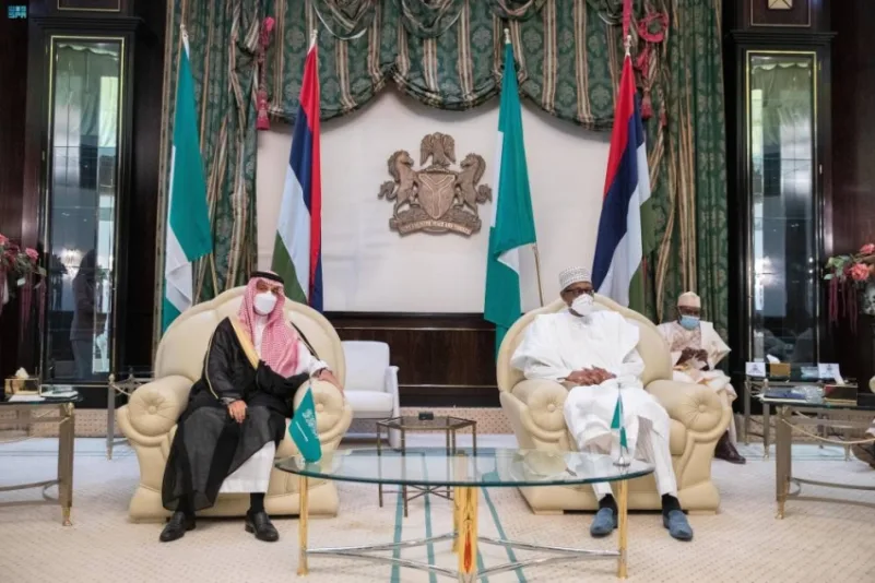 وزير الخارجية يبحث مع رئيس نيجيريا التنسيق والعمل المشترك على كافة المستويات