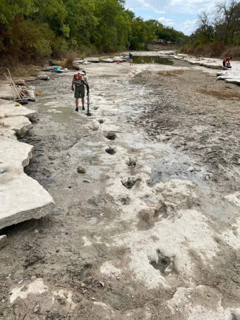 الجفاف يتيح اكتشاف آثار ديناصورات في قاع نهر بولاية تكساس - جريدة المدينة