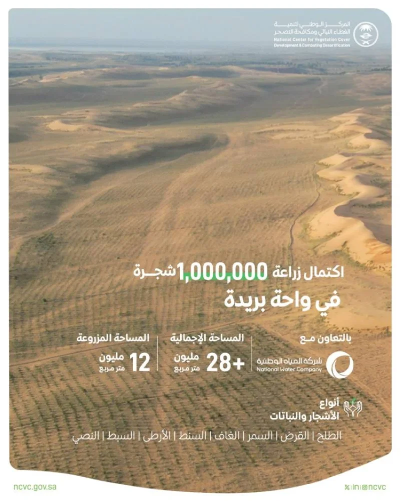"الغطاء النباتي" يزرع مليون شجرة في واحة بريدة بالتعاون مع القطاع الخاص