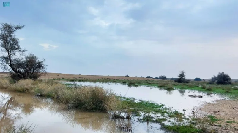 أمطار على مراكز محافظة رفحاء الجنوبية والشرقية