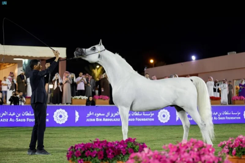 اختتام مهرجان الأمير سلطان بن عبدالعزيز العالمي للجواد العربي 2024