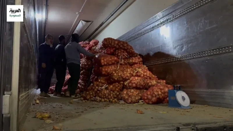 بالفيديو.. تقرير يكشف أسباب ارتفاع أسعار البصل في السعودية