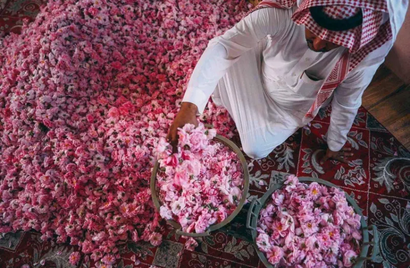 الأربعاء..انطلاق مهرجان "مزارعي الورد الطائفي"