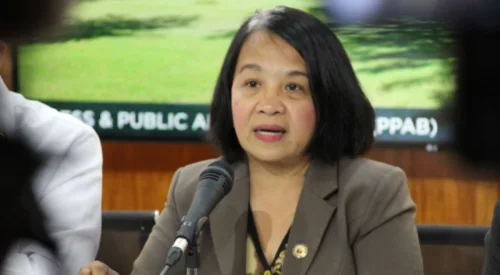 Makabayan bloc, target bumuo ng 12 senatorial candidates para sa 2025 -- Castro