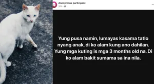 Socmed post tungkol sa pusa na 'lumayas' kasama 3 anak, binalbal ng netizens