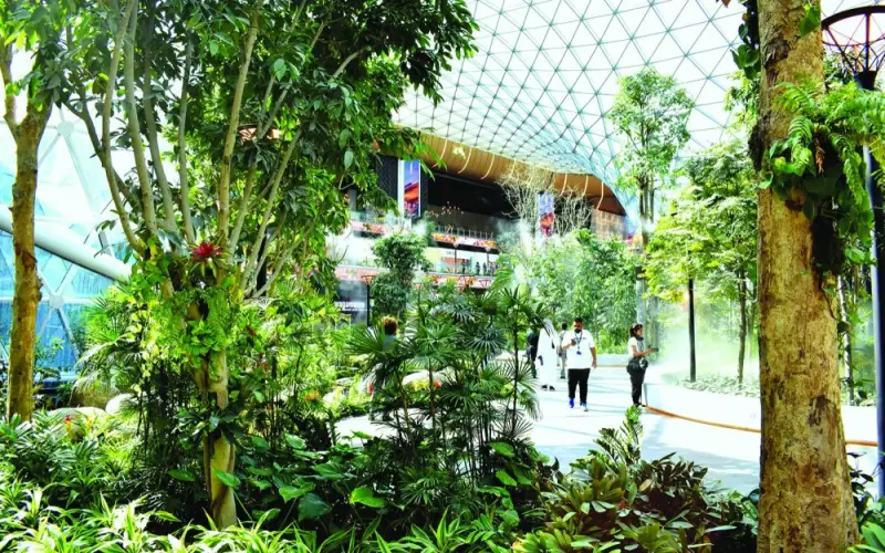 The 'Orchard’, the indoor tropical garden at Hamad International Airport has sourced 300-plus trees and 25,000 plants from sustainable forests around the world. PICTURE: Thajudheen