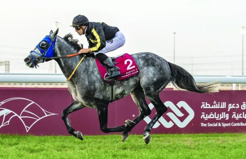 Soufiane Saadi rides Midrass to Mesaieed Cup victory yesterday. PICTURE: Juhaim
