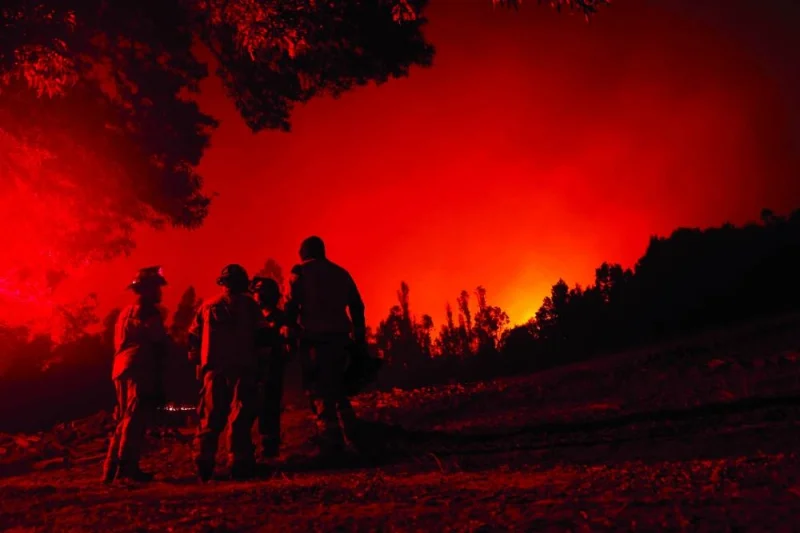 Firefighters are seen during a fire in Puren, Araucania region, Chile. More than 20 people have died in hundreds of forest fires whipped up amid a blistering heat wave in south central Chile.