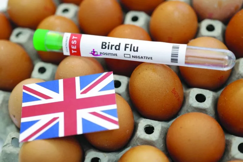 A test tube labelled "Bird Flu", eggs and a piece of paper in the colours of the British national flag are seen in this picture illustration, January 14, 2023. REUTERS/Dado Ruvic/Illustration