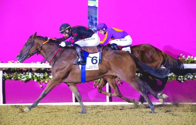 Jockey Alberto Sanna rides Ushayqer to Al Mamoura Cup win at the Al Rayyan Racecourse on Wednesday night.