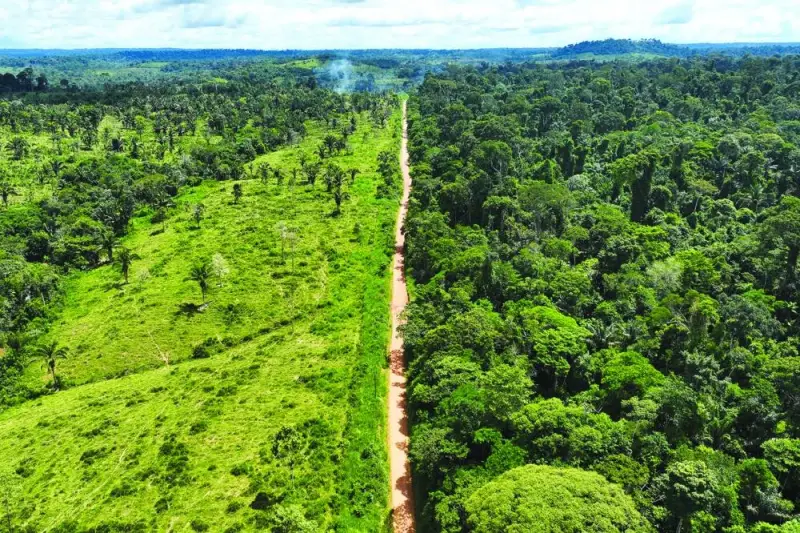FILE PHOTO: An aerial view shows a boundary demarcation area at the Arara indigenous reserve during an operation to combat deforestation near Uruara, Para State, Brazil January 21, 2023. (Reuters)