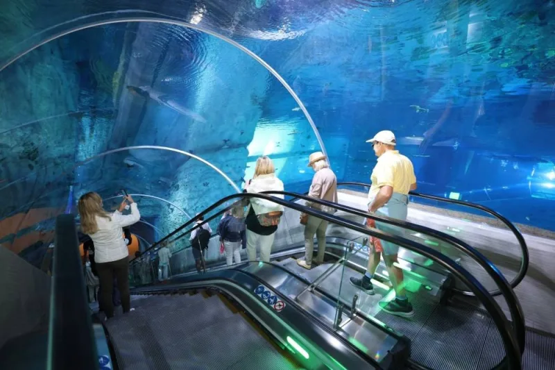 The aquarium inside the Grand Cruise Terminal.