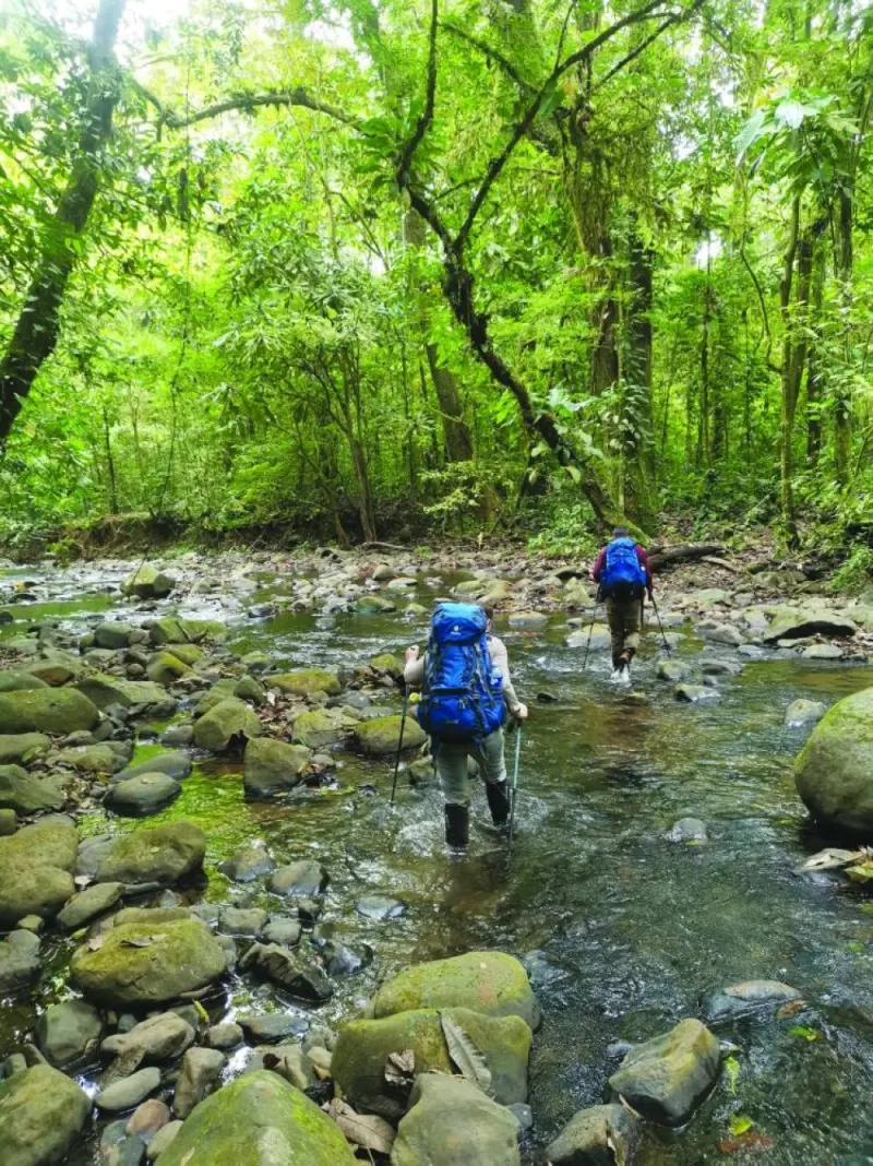 
Tourists hike during an excursion through the Darien Gap region, Panama, last January. (Reuters) 