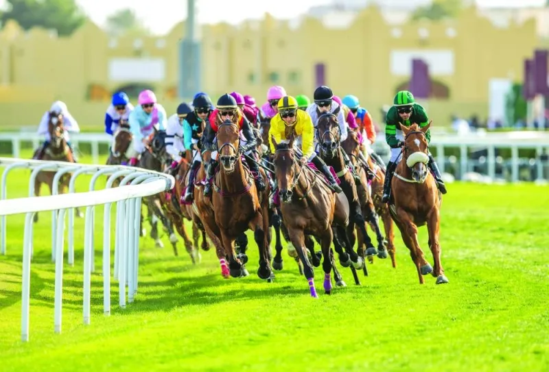
Qatar Racing and Equestrian Club’s programme of the next season is characterised by an increase in the prize money for the various races, standing at QR120,000 for the majority of the standard races, compared to QR100,000 only for the same races last season. Qatar Racing and Equestrian Club’s programme of the next season is characterised by an increase in the prize money for the various races, standing at QR120,000 for the majority of the standard races, compared to QR100,000 only for the same races last season. 