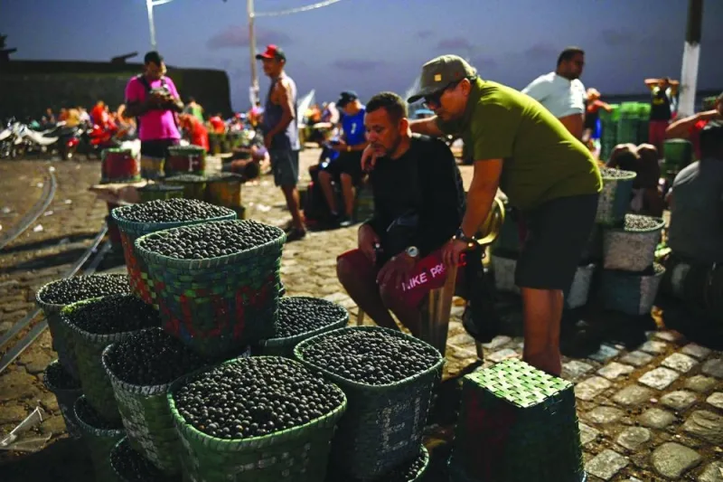 
View of acai berries on display at the Acai Market on the shores of the Guajara Bay in Belem, Para state, Brazil. 