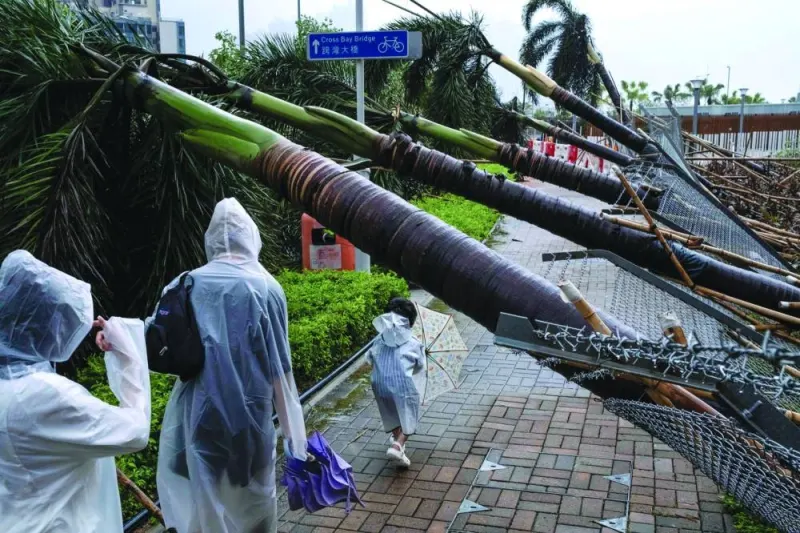 
People make their way past fallen trees in the aftermath of Typhoon Saola in Hong Kong. 