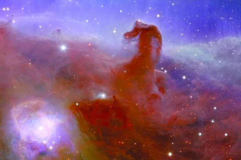 
This undated handout obtained from the European Space Agency ESA shows an alternative crop of astronomical image of a Horsehead Nebula taken during ESA’s Euclid space mission. (AFP) 