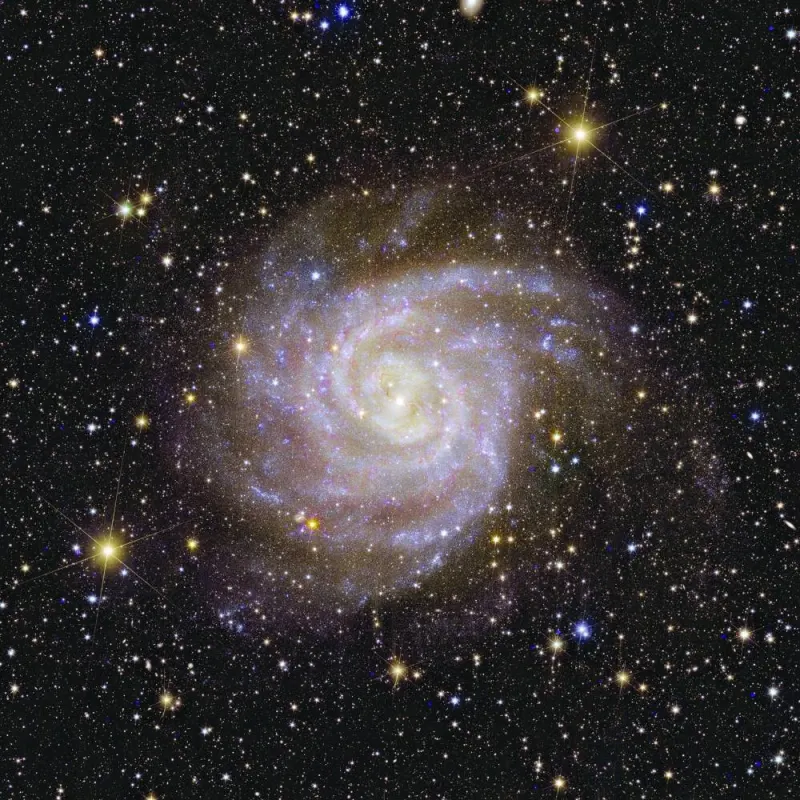 
A spiral-shaped galaxy called “Hidden Galaxy”, also known as IC 342 or Cadwell 5, captured by Euclid telescope seen in this undated handout image. (Reuters) 