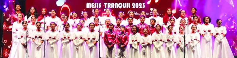 Mesis celebrates third annual day