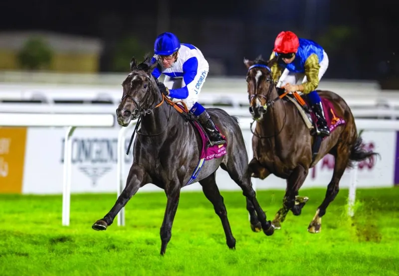 
Jim Crowley leads Chealamy to Qatar Oaks for Thoroughbreds win. PICTURES: Juhaim 