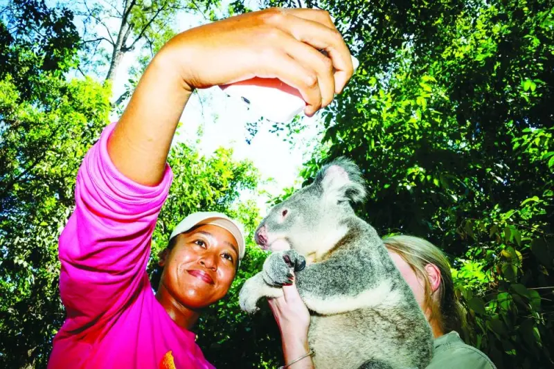 Japan’s Naomi Osaka visits Lone Pine Koala Sanctuary in Brisbane on Friday, ahead of the Brisbane International tournament. (AFP)