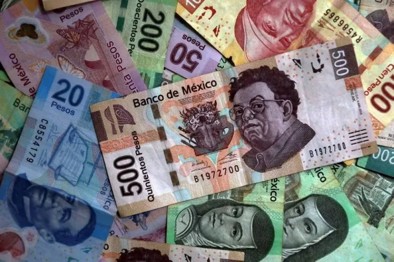 (File photo) Mexican pesos are seen in this picture illustration August 3, 2017. (Reuters)