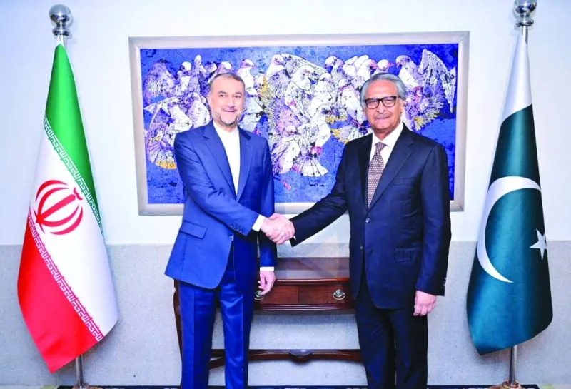
Pakistan’s Foreign Minister Jalil Jilani shakes hands with his Iranian counterpart Hossein Amir-Abdollahian in Islamabad. (Reuters) 