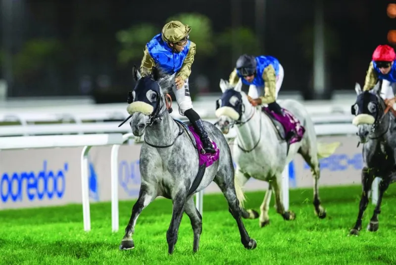 
Soufiane Saadi celebrates after guiding Toufik to victory in the Gulf Cup for Purebred Arabians Bred. 