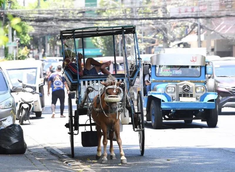 A driver of a horse-drawn carriage takes shelter under a tree as he waits for tourists along a road in Manila Wednesday, as extreme heat affected the country. AFP
