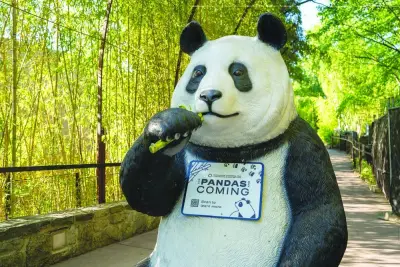 A view of a statue depicting a panda on the day Chinese ambassador to the US Xie Feng and staff members from The National Zoo and Conservation Biology Institute made the announcement at Smithsonian’s National Zoo in Washington yesterday.(Reuters)