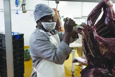 A butchers works on a piece of game meat as carcasses hang at an abattoir in Bela Bela.