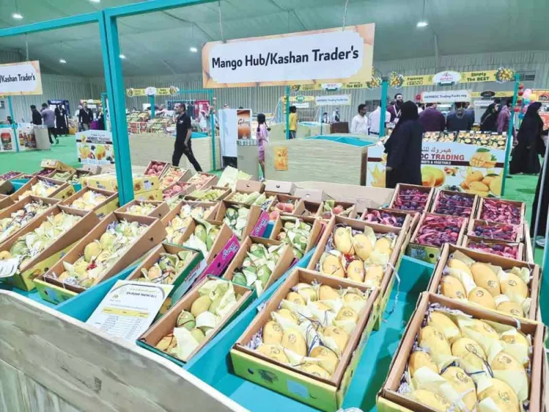 The event showcases the fruit&#039;s diverse flavours and varieties, including Chaunsa, Safeed Chaunsa, Sidhri, Anwar Ratool and Duseri. PICTURE: Joey Aguilar
