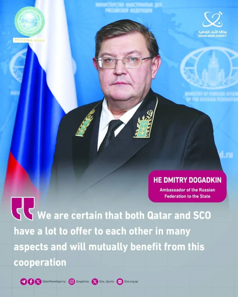 Russian ambassador Dmitry Dogadkin