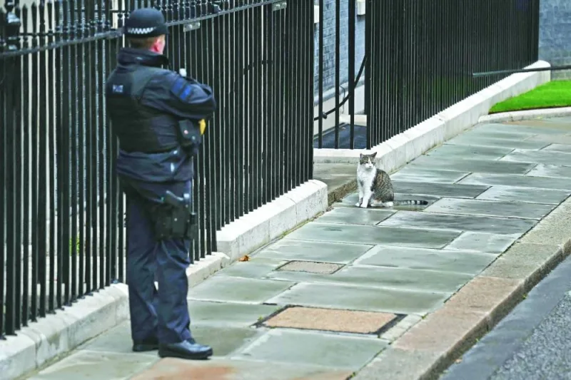 Larry the Cat stands outside Number 10 Downing Street in London on Friday.