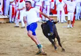 
A reveller sprints as a wild cow runs at the San Fermin festival in Pamplona yesterday. (Reuters) 