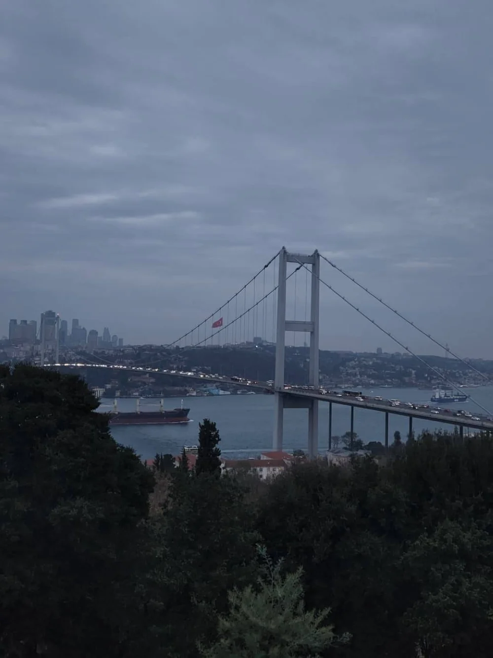 bosphorus bridge view from Nakkaştepe Park