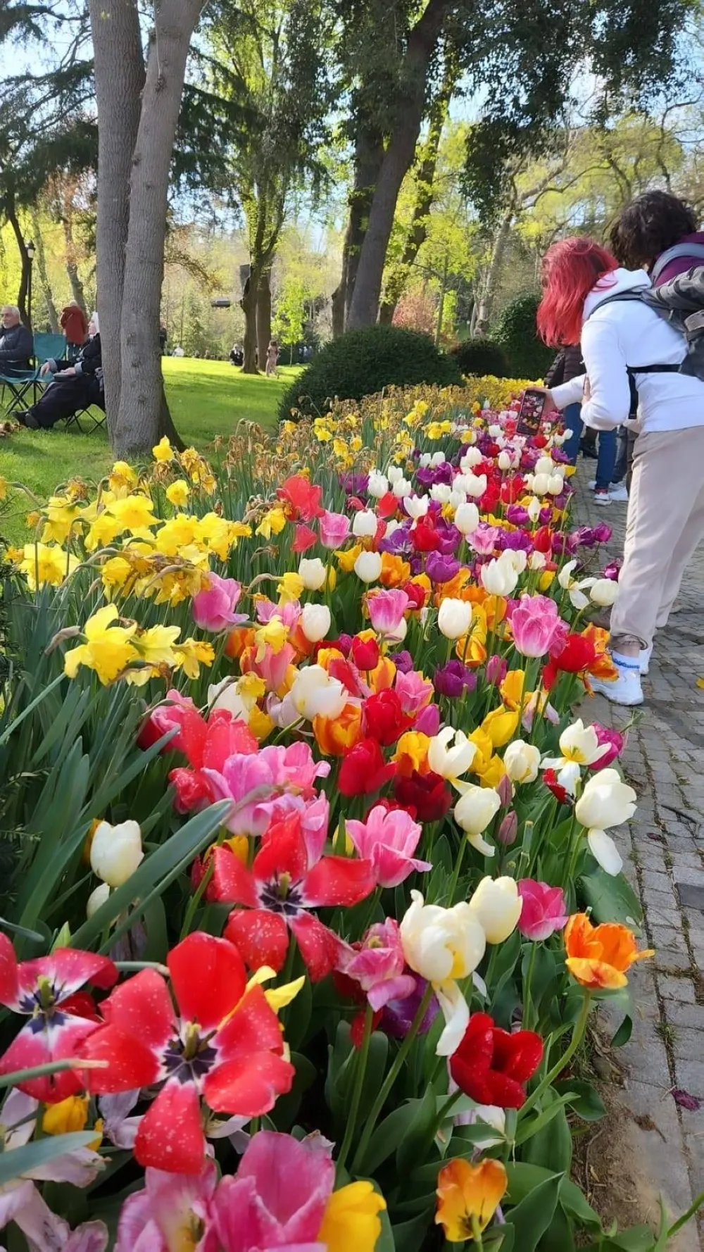 Gülhane Park in tulip season, a vibrant escape in the heart of Istanbul