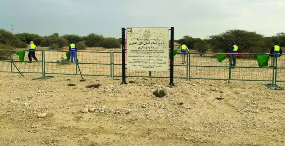 meadows are fenced and cleaned regularly 