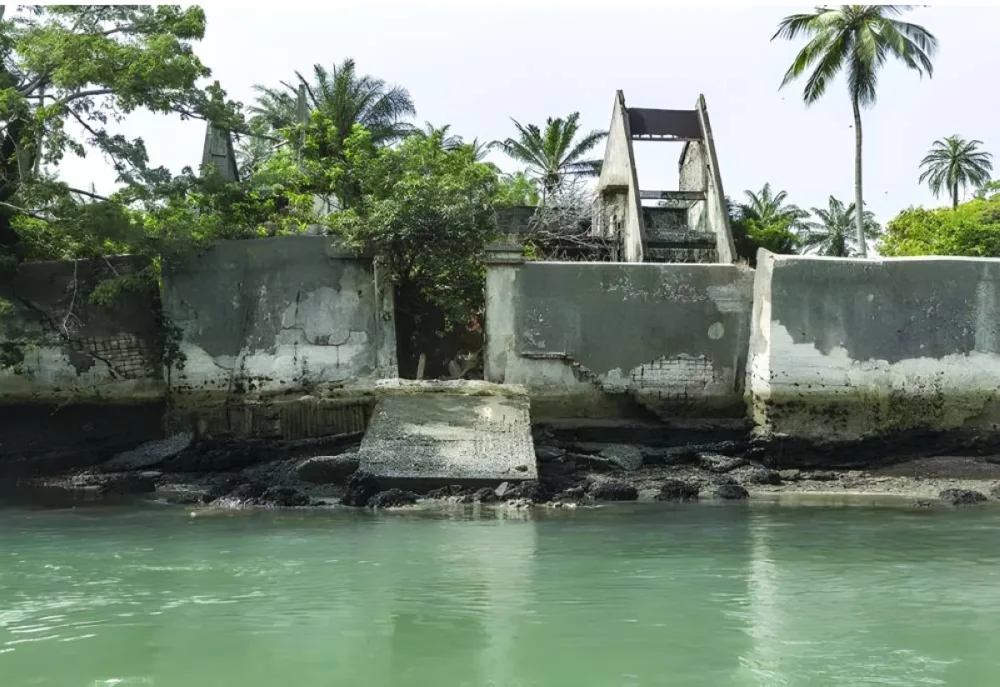 
The coastline retreats by up to 7 metres each year, according to a government report. Right: The retreat of the coastline each year, is causing mangrove loss and threatening both humans and animals. 