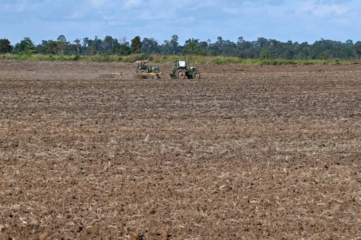 PREAH VIHEAR: This photo taken on December 6, 2023 shows workers plowing with tractor at the site of an economic land concession outside Praeus K&#039;ak village in Preah Vihear province. - AFP