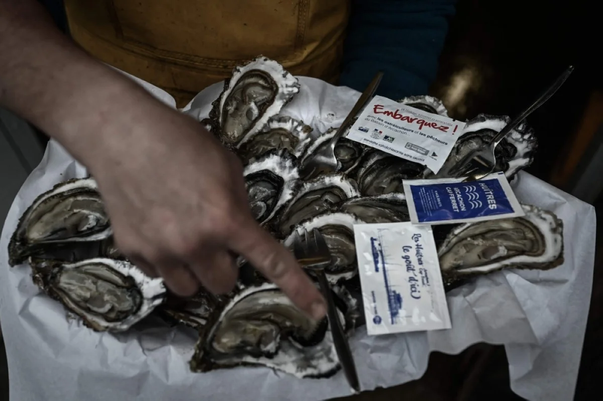 GIRONDE: French oysters are pictured at the port of La Teste on the bay of Arcachon, southwestern France. – AFP